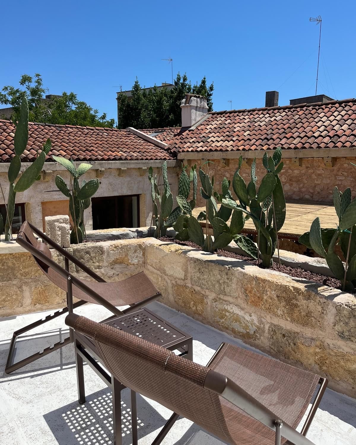 525471108_18145287043397844_2740612988919009390_n